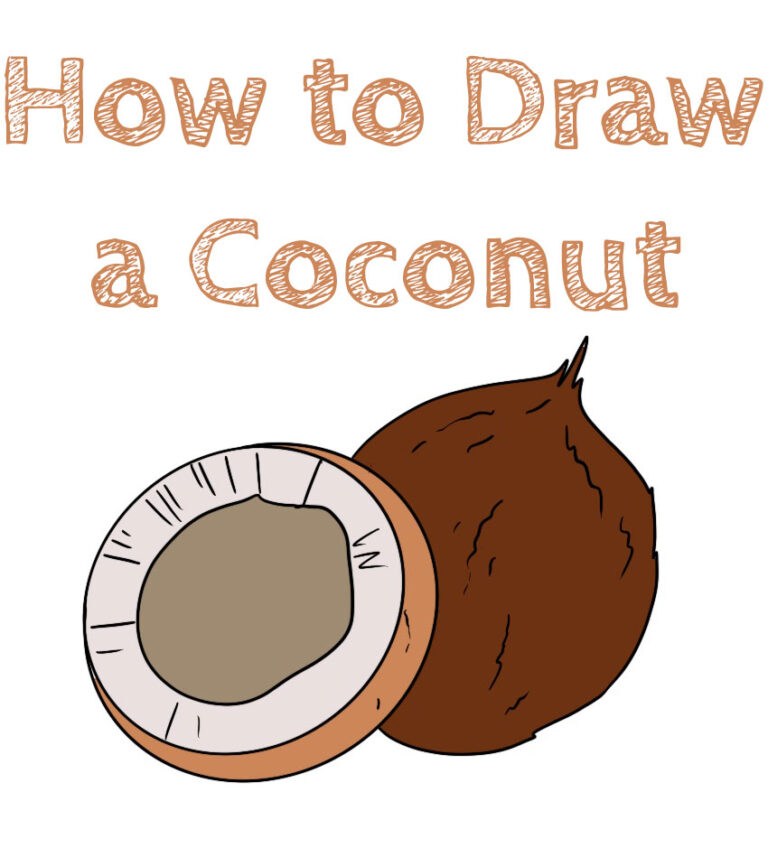 How to Draw a Coconut How to Draw Easy