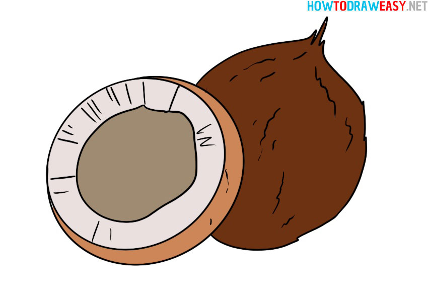 how-to-draw-a-coconut