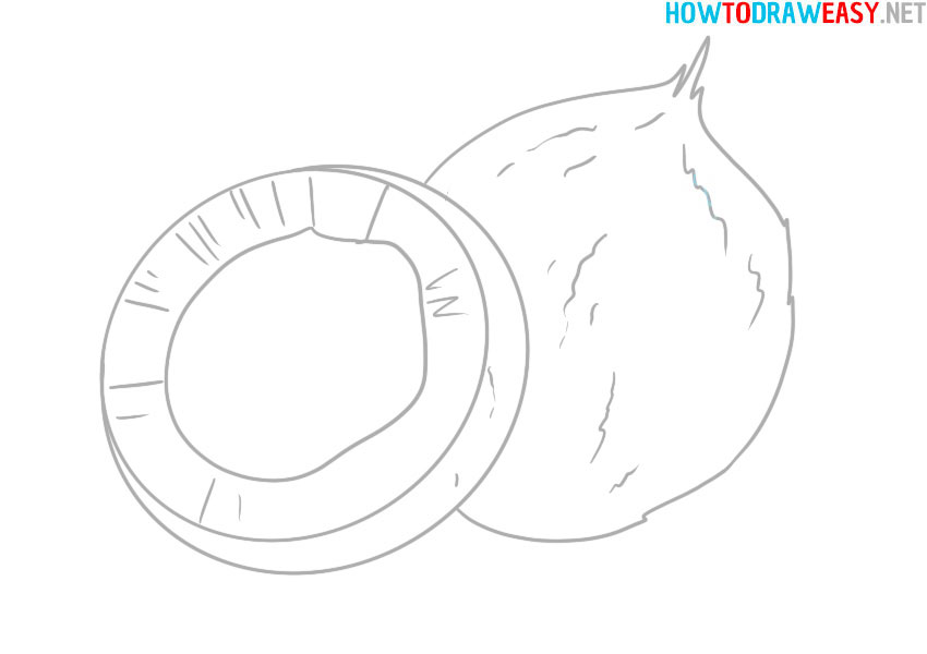 how-to-draw-a-realistic-coconut