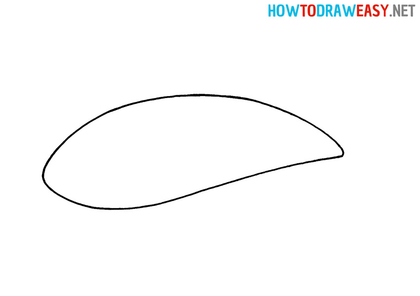 Draw a Shark for Kids
