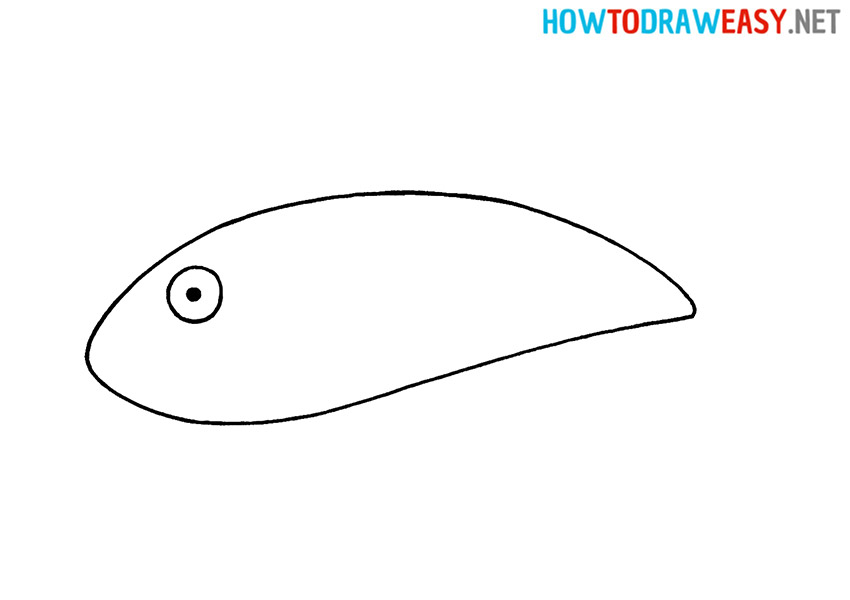 Drawing Shark for Kids