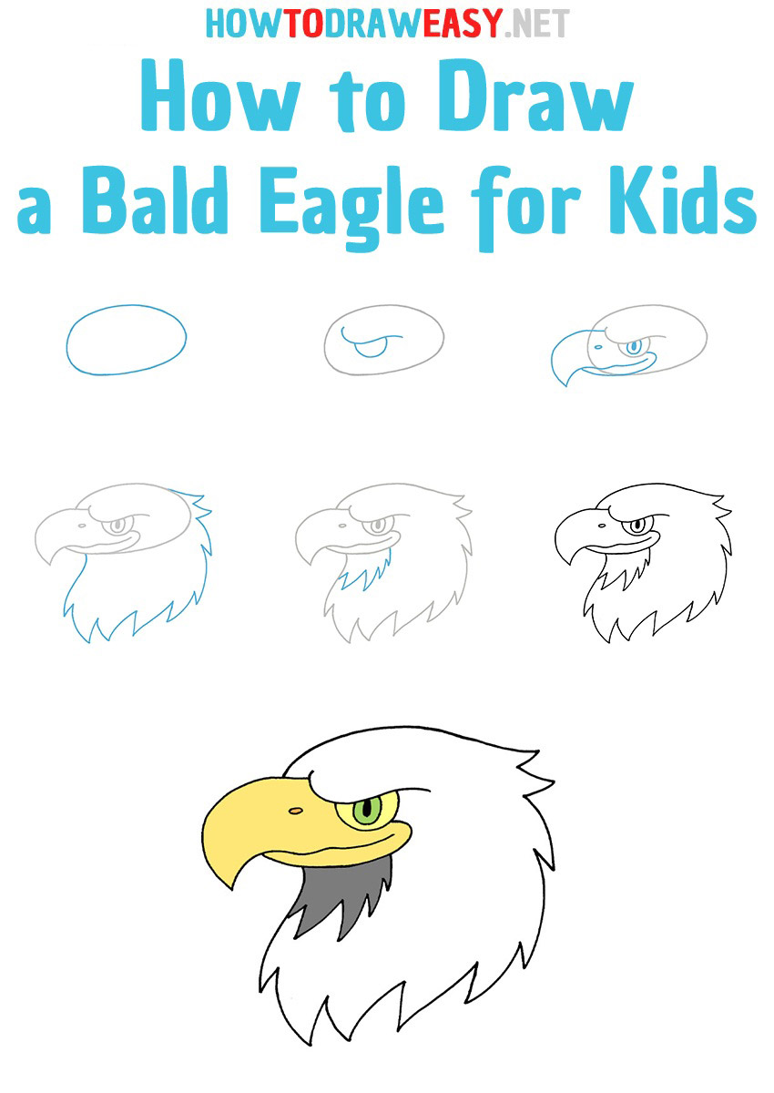 How to Draw a Bald Eagle for Kids step by step