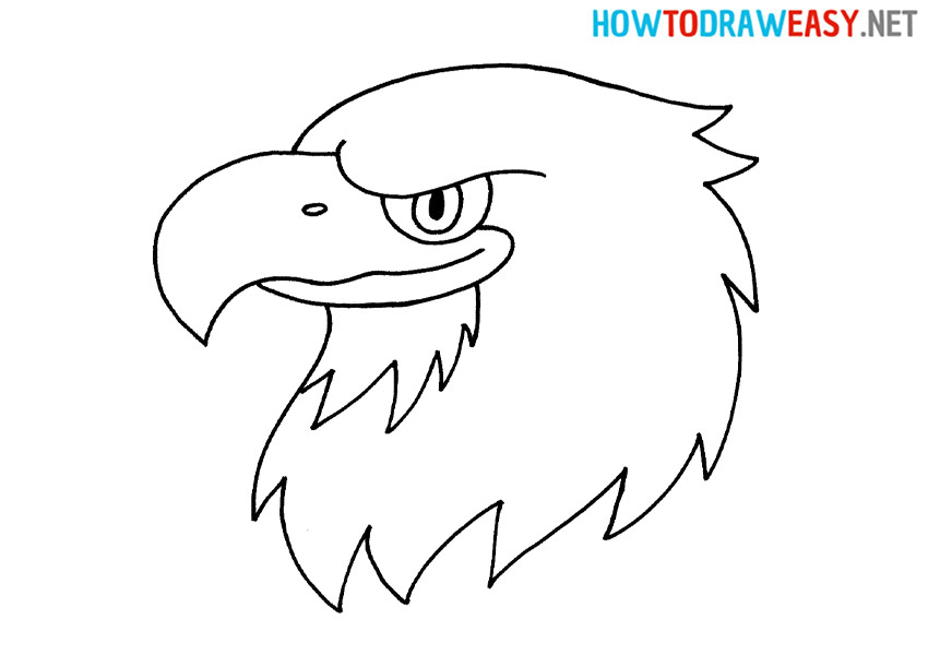 How to Draw a Bald Eagles For Kids Tutorial