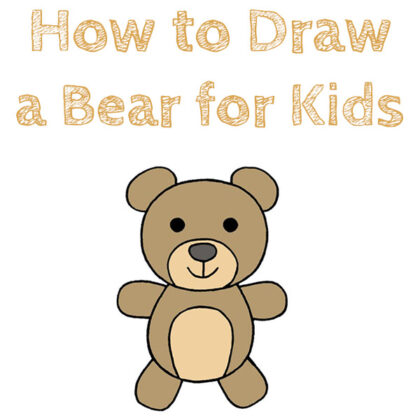 How to Draw a Bear for Beginners
