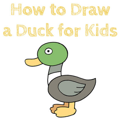 How to Draw a Easy Duck