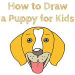 How to Draw a Puppy for Kids