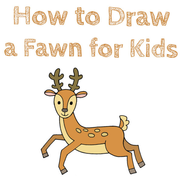 How to Draw a Fawn for Kids How to Draw Easy