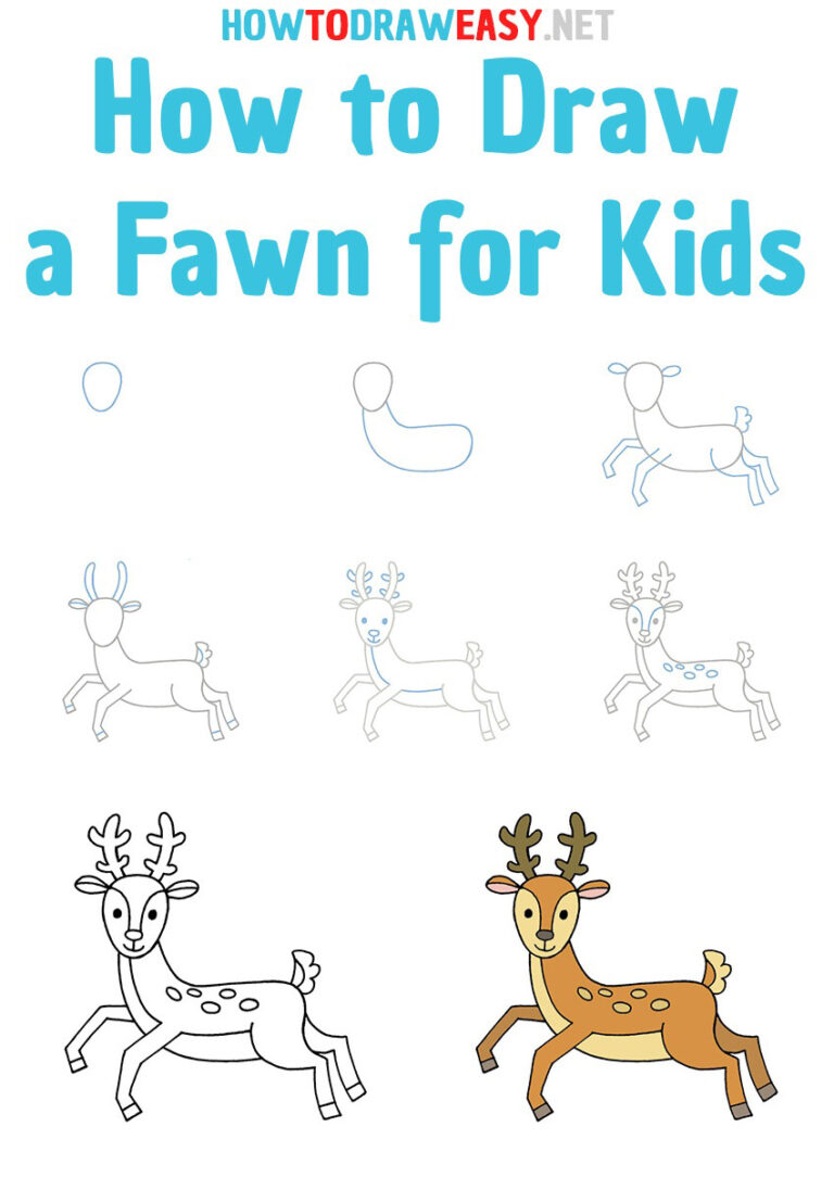 How to Draw a Fawn for Kids How to Draw Easy