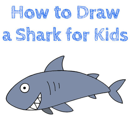 How to Draw a Shark for Beginners