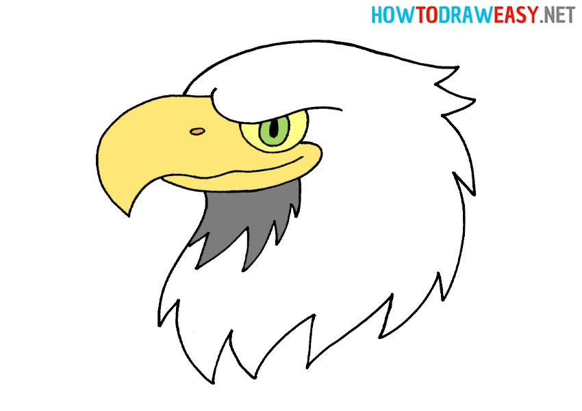 How to Draw a Simple Bald Eagle