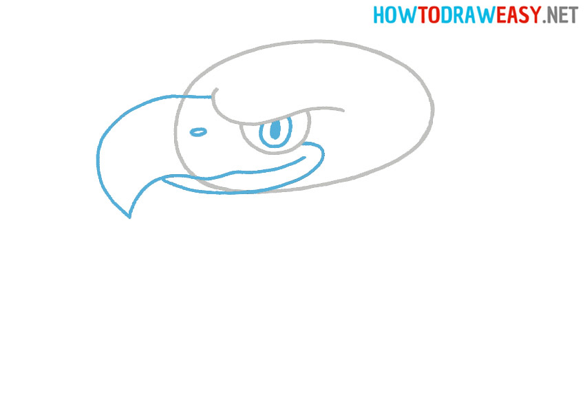 Learn how to draw a Bald Eagle for kids