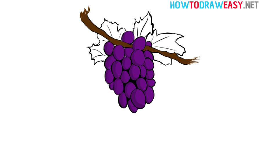 Easy Grapes Drawing Tutorial