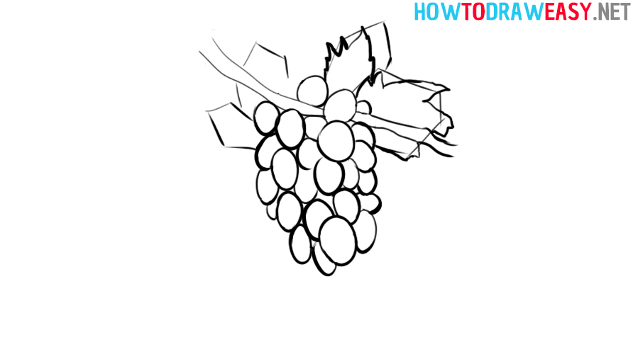 Easy Sketch Vine