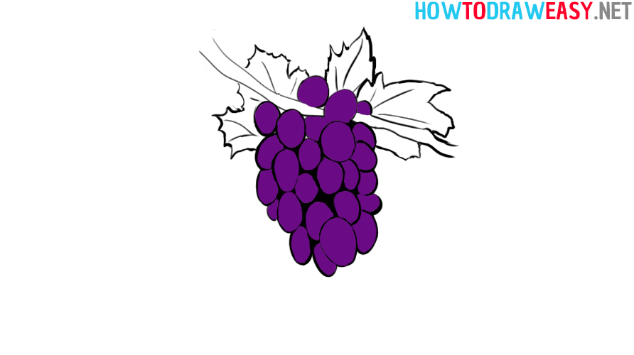 Grape Bunch Drawing Tutorial Step by Step