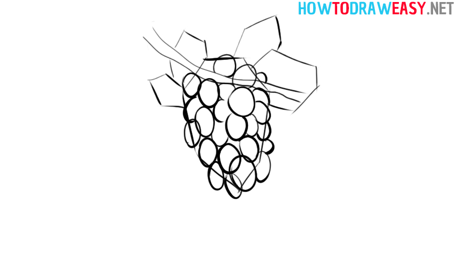 Grape Drawing for beginners