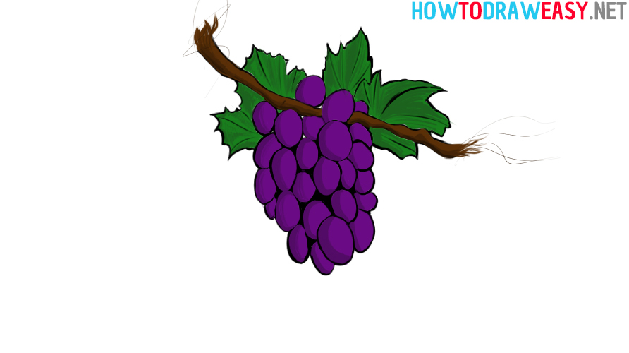 Grapes Drawing Tutorial for Beginners Step by Step