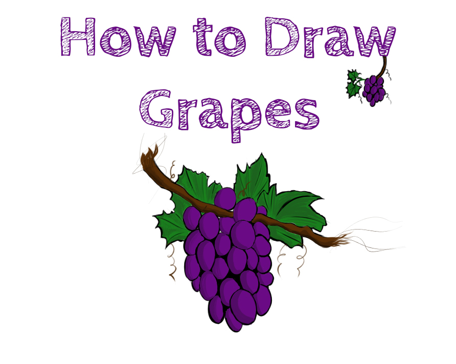 Grapes How to Draw