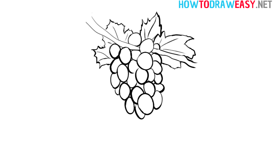 Grapes Leaf Step by Step Drawing Tutorial