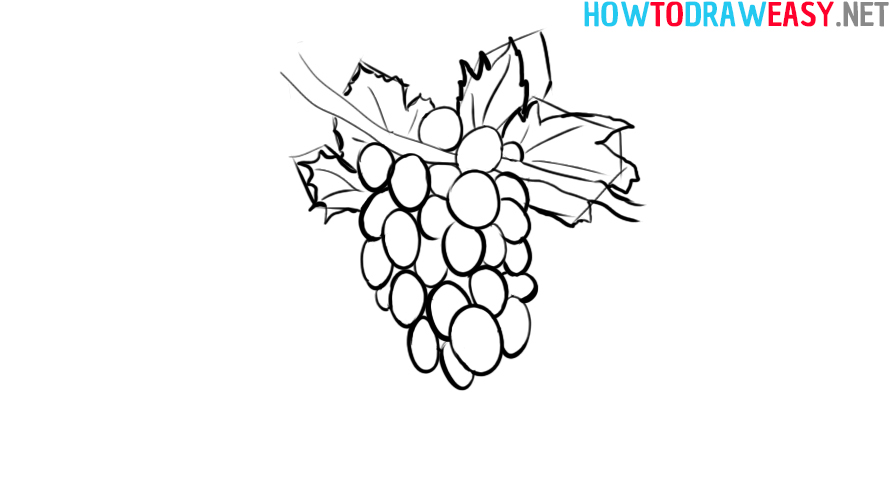 Grapes Step by Step Drawing Tutorial