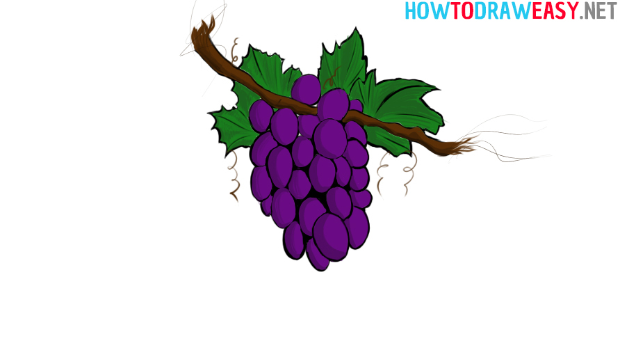 How to Draw Grapes Easy