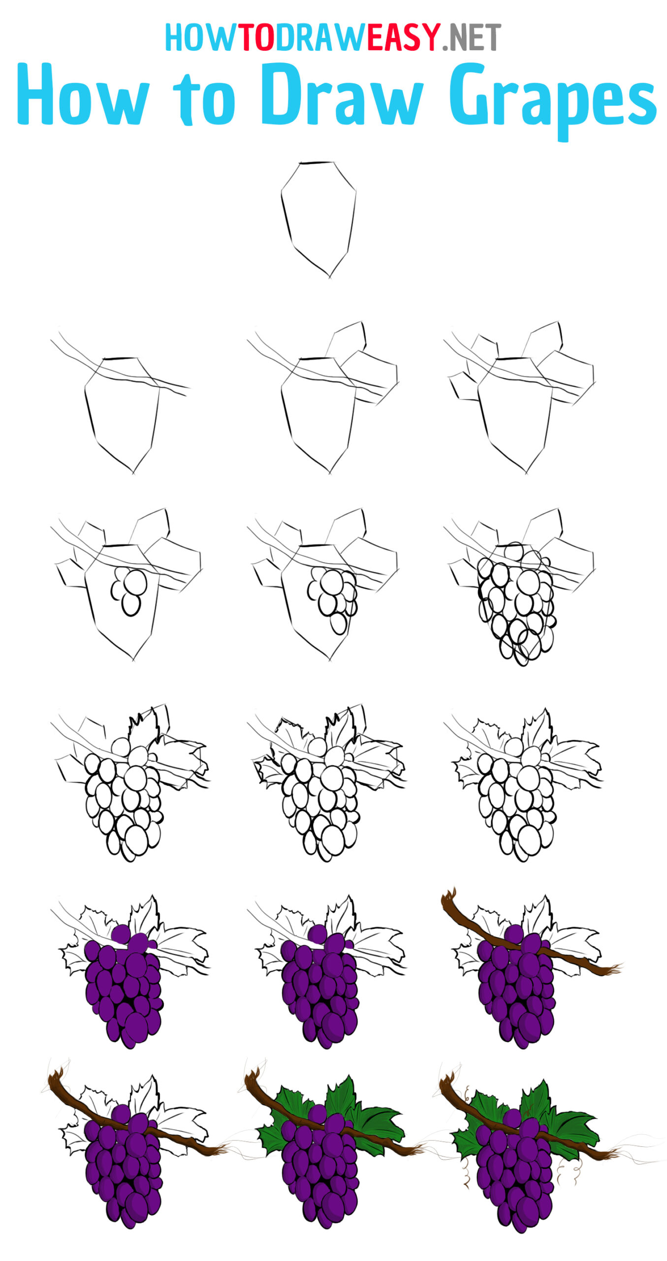 How to Draw Grapes Step by Step