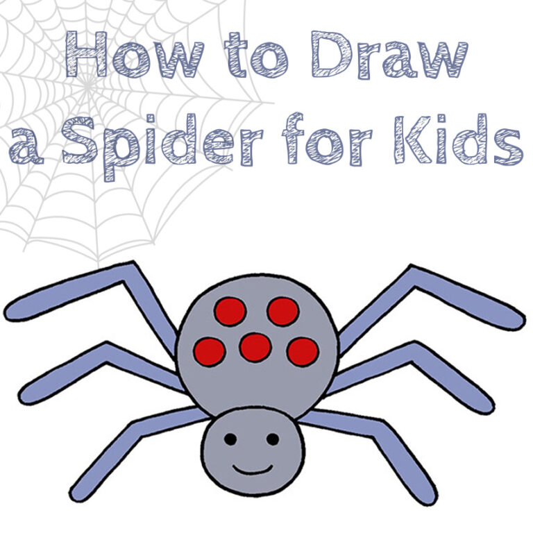 How to Draw a Spider for Kids - How to Draw Easy