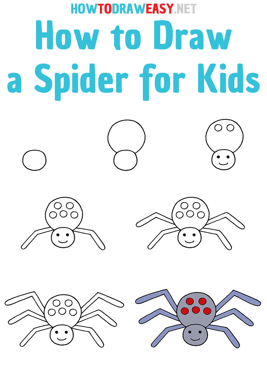 How to Draw a Spider step by step