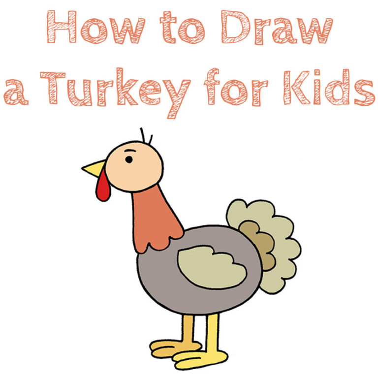 How to Draw a Turkey for Kids How to Draw Easy