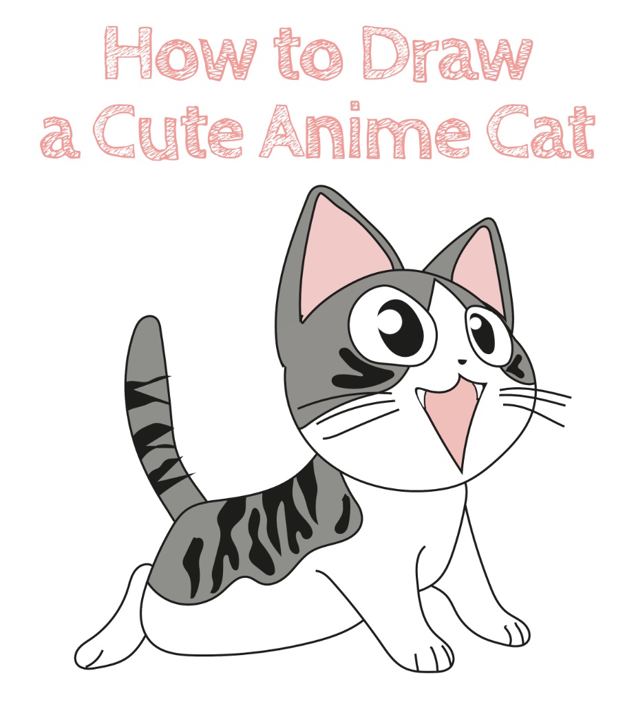 How to Drawing a Cute Anime Cat