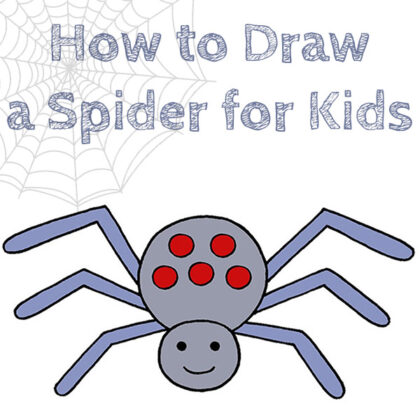 Learn how to draw a spider