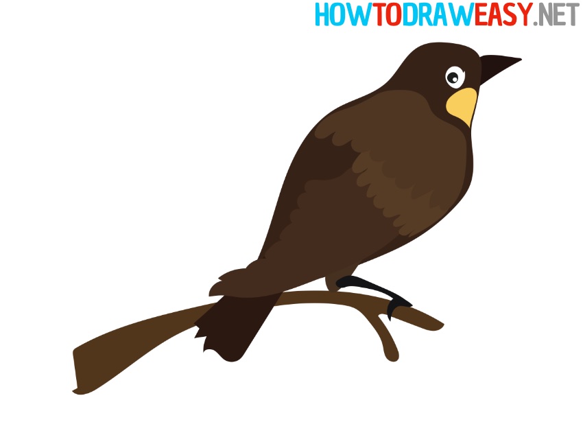 Bird Drawing Tutorial for beginners