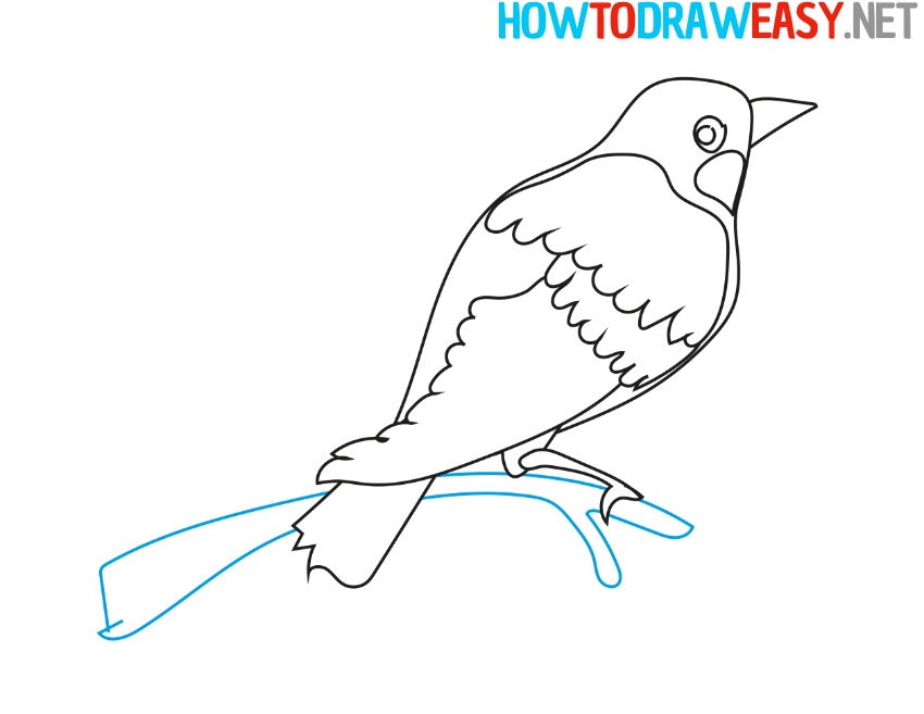 Bird Simple Drawing tutorial