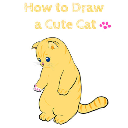 Cat Drawing Tutorial for Kids
