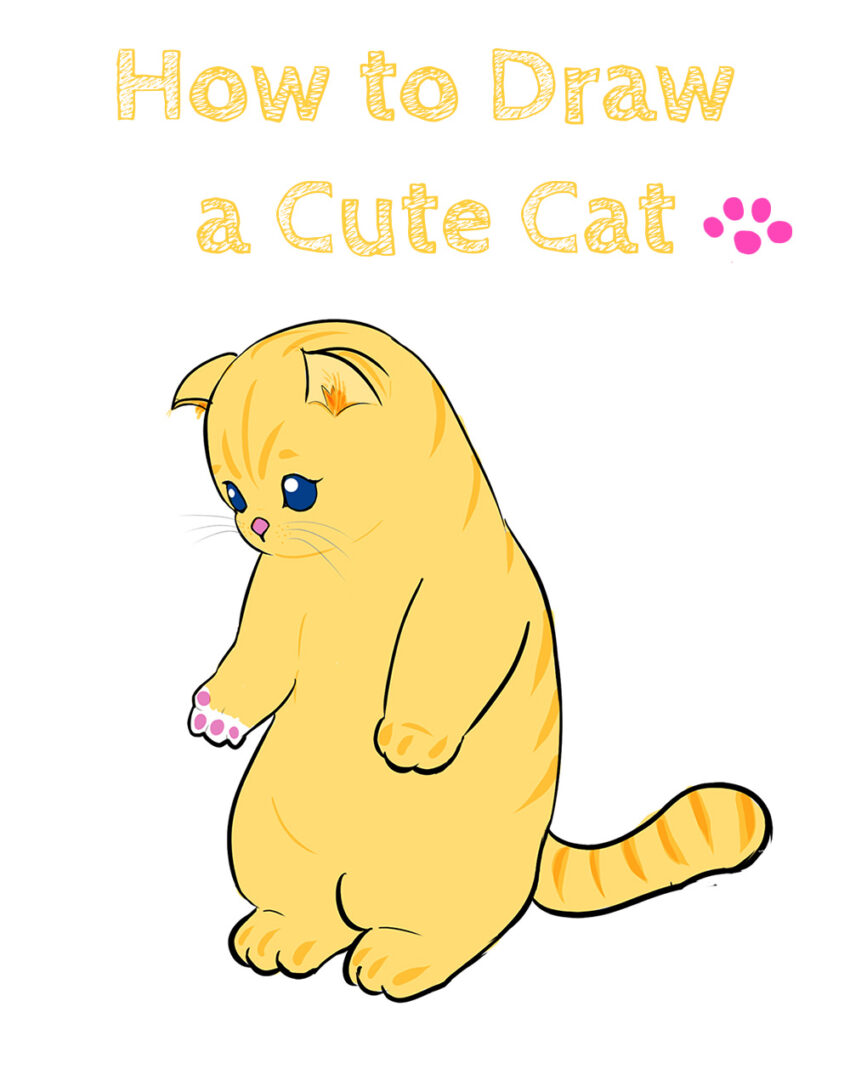 How To Draw A Cute Cat How To Draw Easy