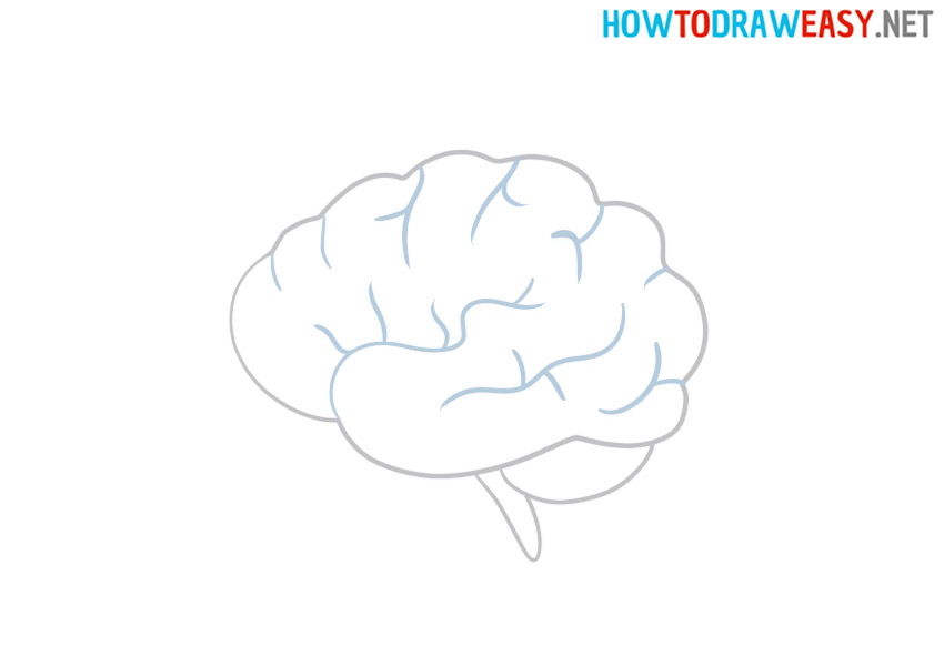 Drawing a Easy Brain