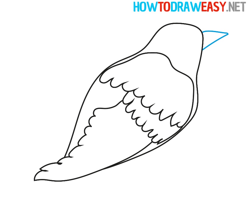Fowl Drawing Tutorial Easy