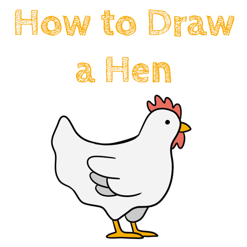 All 94+ Images how to draw a hen step by step Latest