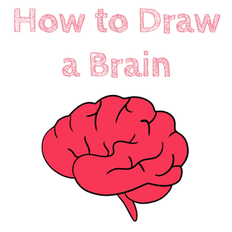 How to Draw a Brain Easy How to Draw Easy