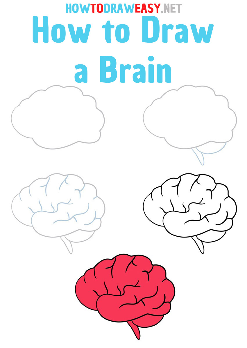 How to Draw a Brain Easy Step by Step