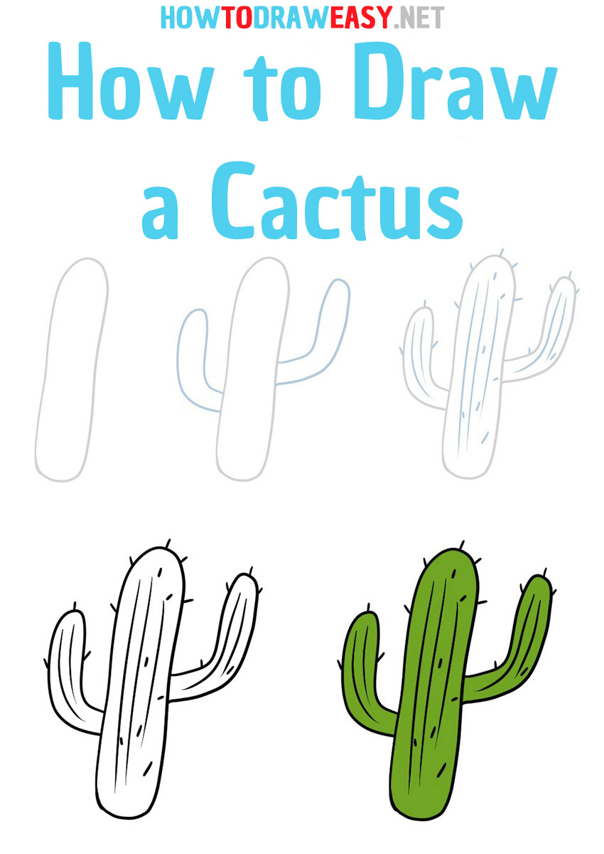 How to Draw a Cactus Step by Step