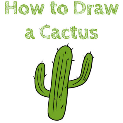 How to Draw a Cactus easy