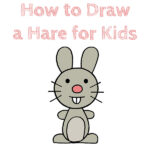 How to Draw a Hare for Kids