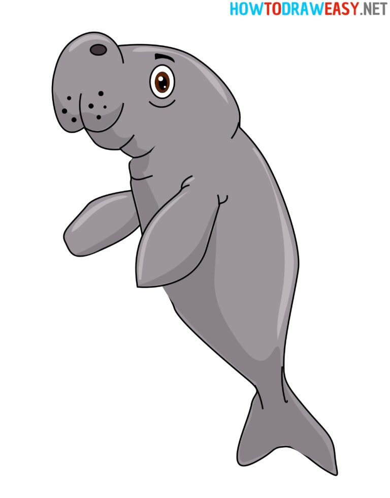 How to Draw a Manatee - How to Draw Easy