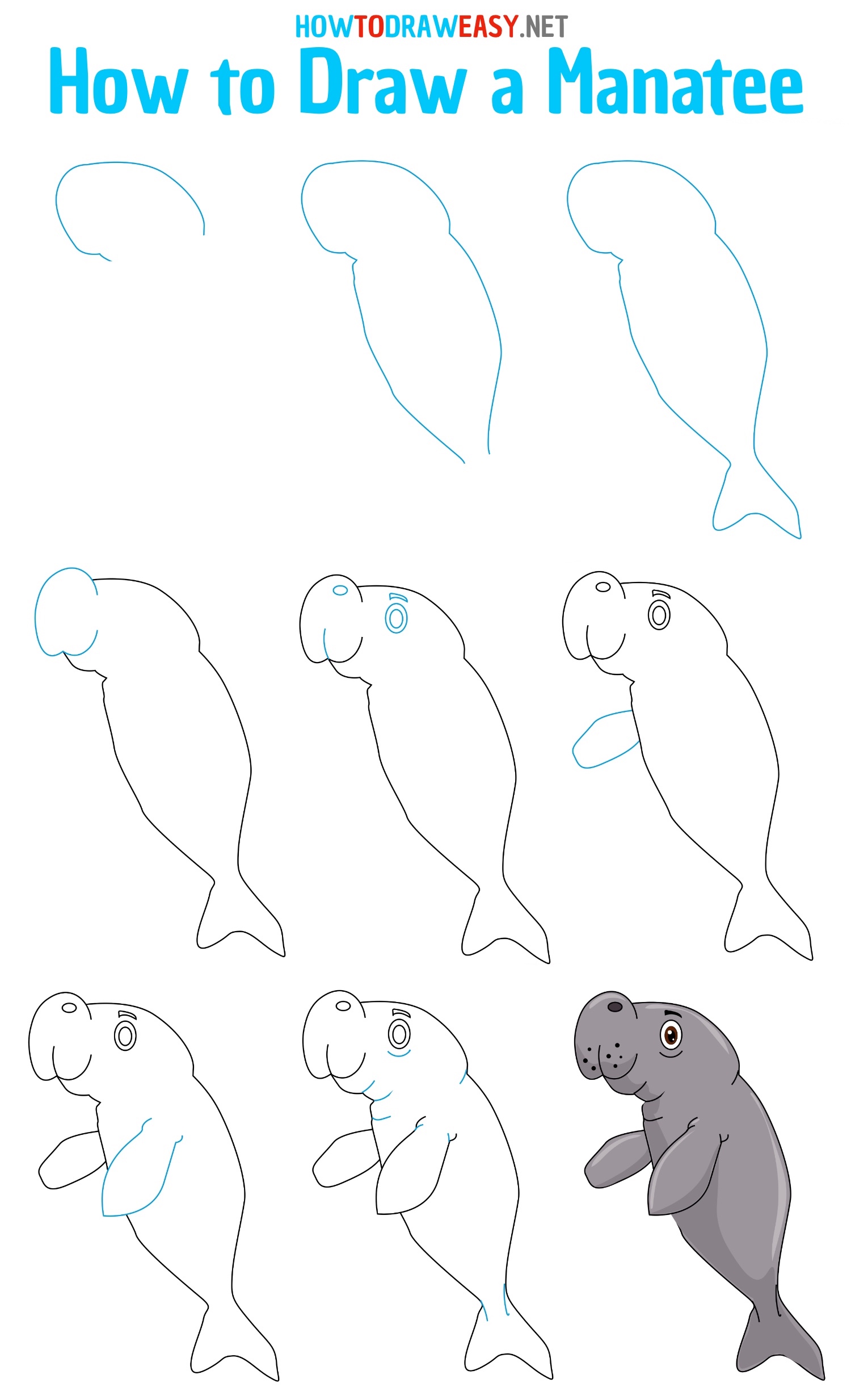 How to Draw a Manatee Step by Step