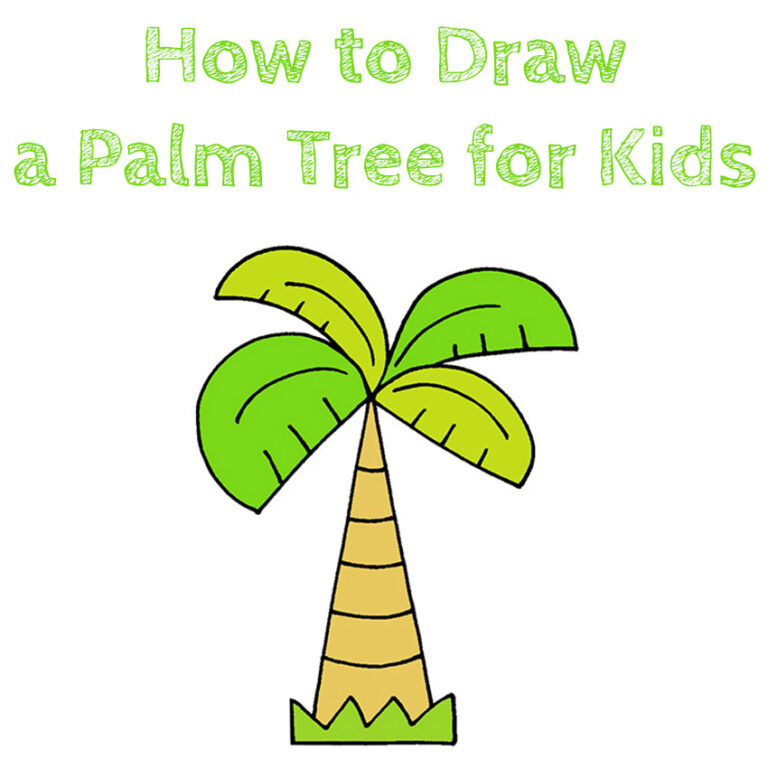How to Draw a Palm Tree for Kids How to Draw Easy
