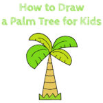 How to Draw a Palm Tree for Kids