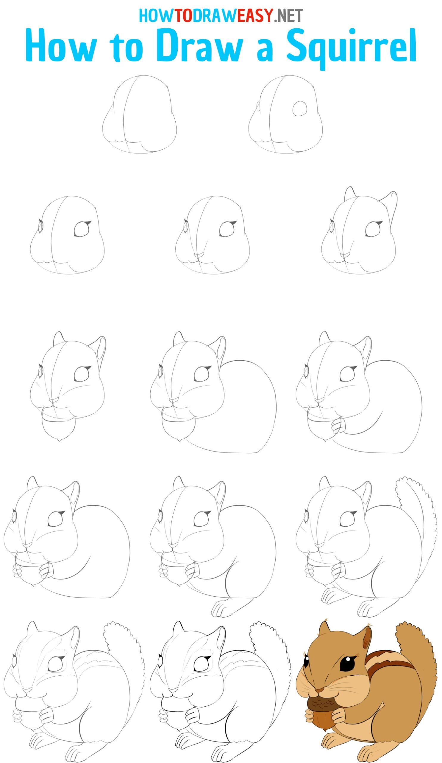 How to Draw a Squirrel Step by Step