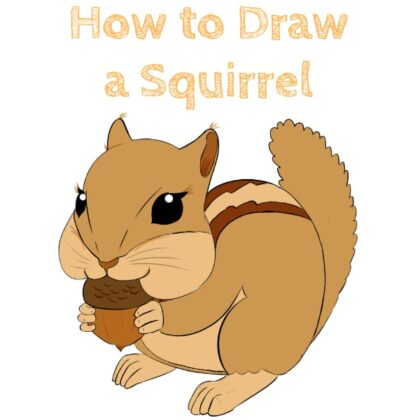 How to Draw a Squirrel for Kids Easy