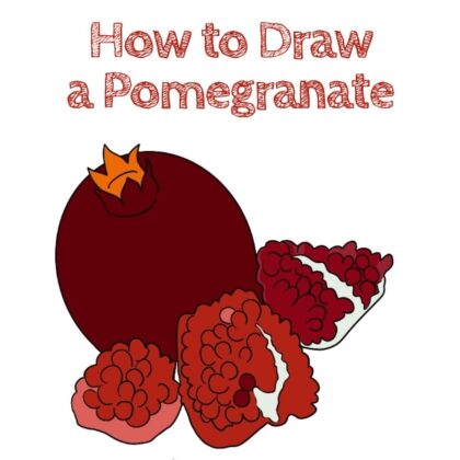 Pomegranate How to Draw