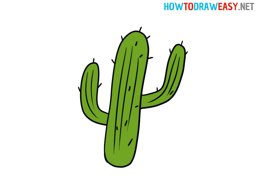 drawing cactus